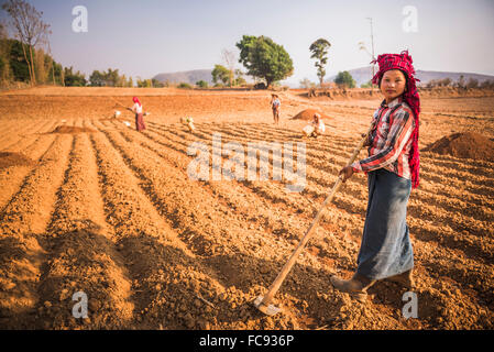 PA-O Bergstämme, die Landwirtschaft in der Nähe von Inle-See und Kalaw, Shan State in Myanmar (Burma), Asien Stockfoto