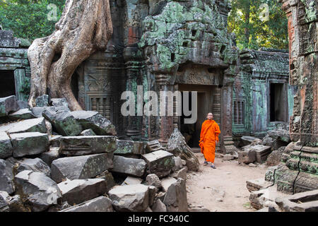 Mönch zu Fuß durch Ta Prohm Tempel, UNESCO-Weltkulturerbe Angkor, Siem Reap, Kambodscha, Indochina, Südostasien, Asien Stockfoto