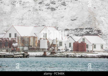 British Antarctic Survey Research Station am King Edward Point, Südgeorgien, UK Übersee Protektorat, Polarregionen Stockfoto