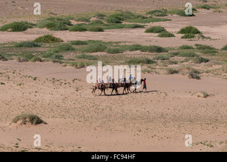 Touristen auf baktrischen Kamel trainieren Kreuz sandige Landschaft, erhöhten Blick im Sommer, Khongoryn Els Sanddünen, Wüste Gobi, Mongolei Stockfoto