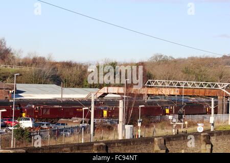 Verschiedene Diesellokomotiven in West Coast Eisenbahn Lackierung Carnforth, Lancashire Carnforth Station WGRK auszulagern. Stockfoto