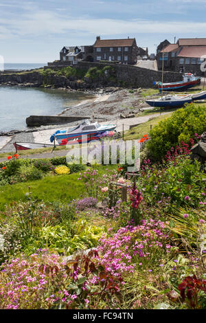 Hafen Sie mit Booten und Dorfzentrum, Garten und Blumen, blauer Himmel an einem sonnigen Sommertag, Craster, Northumberland, England, UK Stockfoto
