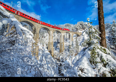 Bernina Express führt durch die verschneiten Wälder rund um Filisur, Kanton Graubünden (Graubünden), Schweiz, Europa Stockfoto