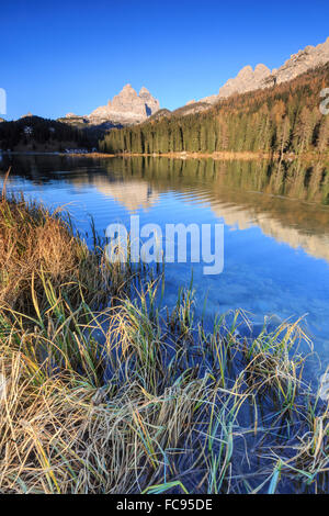 Die drei Zinnen von Lavaredo und Wälder spiegelt sich in Misurina See, Auronzo Cadore, Dolomiten, Veneto, Italien, Europa Stockfoto