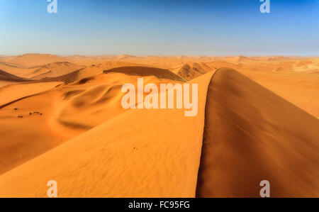 Sanddünen geprägt von Wind, Deadvlei, Sossusvlei, Namib-Wüste, Namib-Naukluft-Nationalpark, Namibia, Afrika Stockfoto