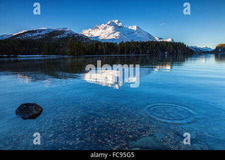 Dawn beleuchtet die schneebedeckten Gipfel spiegeln sich in den ruhigen Gewässern der Silsersee, Engadin, Kanton Graubünden, Schweiz, Europa Stockfoto