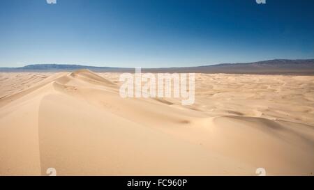 Khongoryn Els Sand Dünen im Gobi-Gurvansaikhan-Nationalpark in Mongolei, Zentral-Asien, Asien Stockfoto