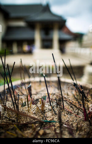 Weihrauch, Kandy, Sri Lanka, Asien Stockfoto