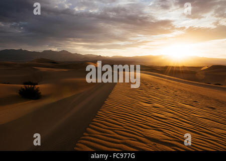 Mesquite Sand Dunes bei Dämmerung, Death Valley Nationalpark, Kalifornien, Vereinigte Staaten von Amerika, Nordamerika Stockfoto