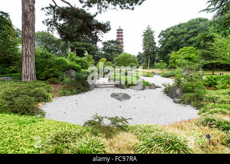 Der japanische Garten mit die chinesische Pagode im Hintergrund in Kew Gardens Royal Botanical Gardens London England UK Stockfoto