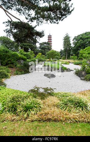 Der japanische Garten mit die chinesische Pagode im Hintergrund in Kew Gardens Royal Botanical Gardens London England UK Stockfoto