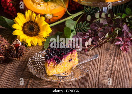 Herbst-Kürbis-Käsekuchen mit cranberries Stockfoto