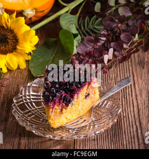 Herbst-Kürbis-Käsekuchen mit cranberries Stockfoto