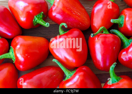 Kleine rote Paprika aus dem Hausgarten. Stockfoto