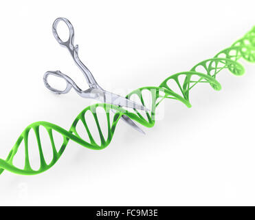 DNA-Strang schneiden mit der Schere - gen konzeptionelle Darstellung bearbeiten Stockfoto