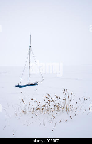 Winter-Einsamkeit Stockfoto