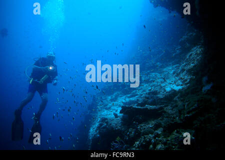 Reef Divers an der Kartoffel Stockfoto