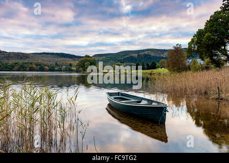 Abendlicht auf ein Ruderboot am Ufer des Loch Ard in die Trossachs Stockfoto