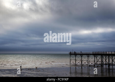 Coastal Szene von Bognor Regis, West Sussex, mit Ende der Pier und Person Hund spazieren gehen. Stockfoto