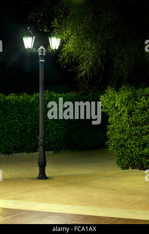 Nacht-Bild von der Lampe im park Stockfoto