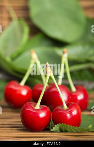 Kirschen und Zweig mit Blättern Stockfoto