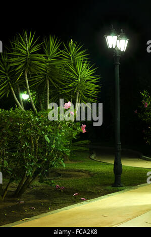 Nacht-Bild von der Lampe im park Stockfoto