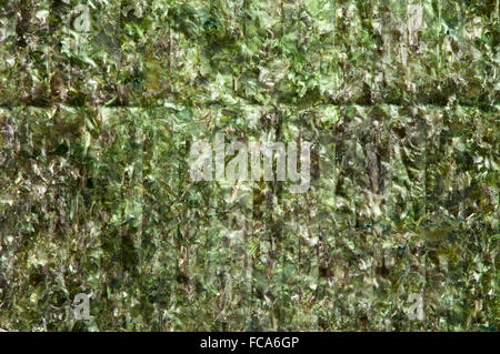 Grüne Algen nori Stockfoto