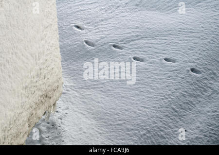 Schneeverwehungen und Schritte Stockfoto