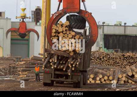 Weyerhaeuser Zellstofffabrik und Rundholzplatz, Grande Prairie, Alberta, Kanada Stockfoto