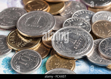 Zwei ein Złoty-Münzen auf weitere polnische Münzen und Scheine Stockfoto