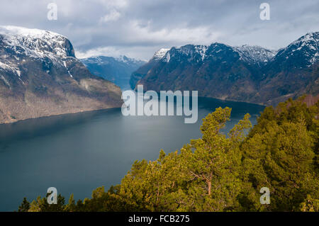 Blick über den Aurlandsfjord, Zweig des Sognefjords, gesehen vom Aussichtspunkt Plattform Stegastein Road Laerdal, Winter, Schnee-cov Stockfoto