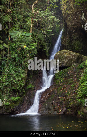 Unten fallen der Ng Tung Chai Wasserfälle in die New Territories in Hongkong, China. Stockfoto