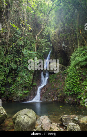 Unten fallen der Ng Tung Chai Wasserfälle in die New Territories in Hongkong, China. Stockfoto