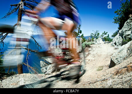 Mountainbiken auf Flume Trail, Tahoe, CA Stockfoto