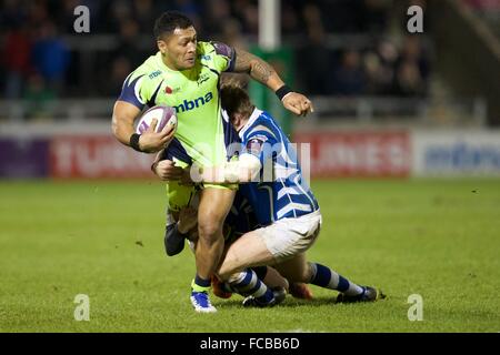 AJ-Bell-Stadion, Verkauf, UK. 21. Januar 2016. European Challenge Cup. Sale Sharks im Vergleich zu Newport Gwent Drachen. Sale Sharks Zentrum Johnny Leota in Angriff genommen wird. Bildnachweis: Aktion Plus Sport/Alamy Live-Nachrichten Stockfoto