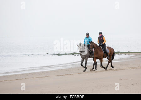 Niederlande, Renesse, Frauen Reiten am Strand Stockfoto