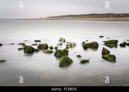 Niederlande, Renesse, Strand mit Moos auf den Steinen des Wellenbrechers. Langzeitbelichtung Stockfoto