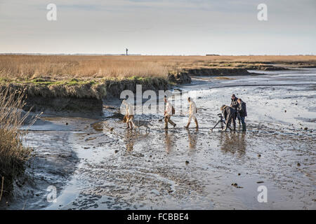 Niederlande, Nieuw Namen Westerschelde Fluss. Naturschutzgebiet Verdronken Land van Saeftinghe. Film-Set. Urmenschen Stockfoto