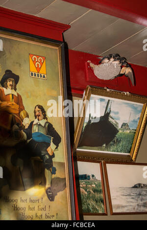 Niederlande, Nieuw Namen, Nest mit Rauchschwalben im Pub namens Het Verdronken Land. Mutter füttert junge Stockfoto