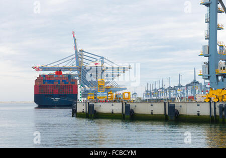 ROTTERDAM, Niederlande - 28. Juni 2015: Große Hafenkräne laden ein Containerschiff. Rotterdam ist der größte Hafen Europas. Stockfoto