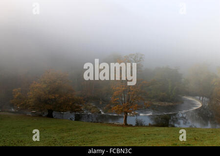 Herbst Nebel am frühen Morgen zu den Horseshoe Falls in Llangollen Wales Stockfoto