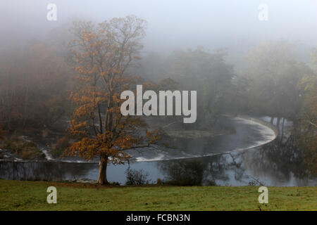 Herbst Nebel am frühen Morgen zu den Horseshoe Falls in Llangollen Wales Stockfoto