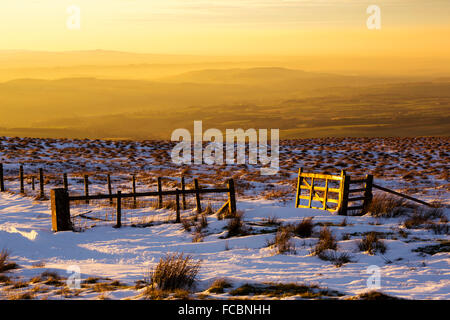 Ein goldenes Tor glühende im späten Abendlicht auf Hartside, North Pennines, Cumbria, UK. Stockfoto