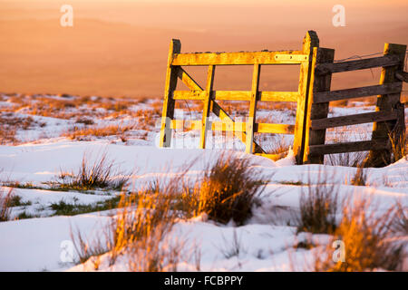 Ein goldenes Tor glühende im späten Abendlicht auf Hartside, North Pennines, Cumbria, UK. Stockfoto