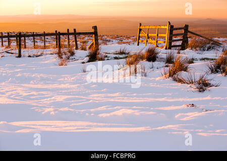 Ein goldenes Tor glühende im späten Abendlicht auf Hartside, North Pennines, Cumbria, UK. Stockfoto