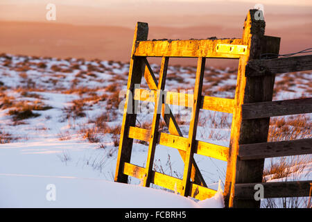 Ein goldenes Tor glühende im späten Abendlicht auf Hartside, North Pennines, Cumbria, UK. Stockfoto