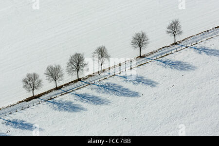 Luftbild, Allee in Altenbüren im Schnee in der Nähe von Hüttenstraße, gerade, Diagonale, geometrische Muster, Winter, Schnee, Stockfoto