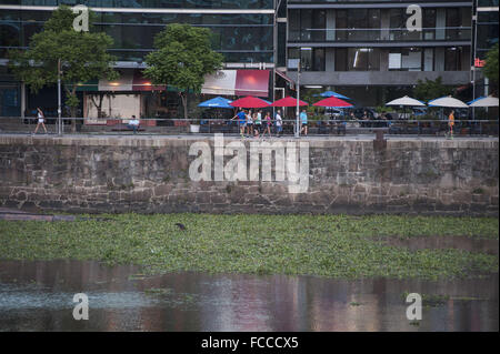 Buenos Aires, Buenos Aires, Argentinien. 21. Januar 2016. Puerto Madero Nachbarschaft, fallenden Wasserhyazinthen (Eichhornia Crassipes), zeigt ein ganz anderes Aussehen. Die Invasion dieser Wasser-Pflanzen ist Folge der schweren Überschwemmungen in den nördlichen Provinzen und hat auch einen Alarm erhöht, da die Flut Tiere und Insekten, unter ihnen giftige Schlangen, Spinnen und Skorpione gebracht hat. Bildnachweis: Patricio Murphy/ZUMA Draht/Alamy Live-Nachrichten Stockfoto