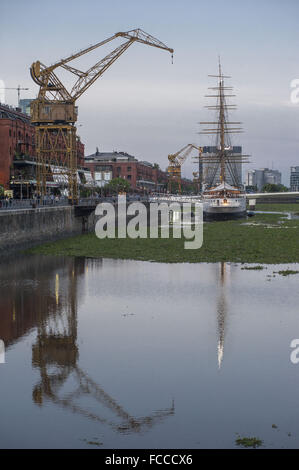Buenos Aires, Buenos Aires, Argentinien. 21. Januar 2016. Puerto Madero Nachbarschaft, fallenden Wasserhyazinthen (Eichhornia Crassipes), zeigt ein ganz anderes Aussehen. Die Invasion dieser Wasser-Pflanzen ist Folge der schweren Überschwemmungen in den nördlichen Provinzen und hat auch einen Alarm erhöht, da die Flut Tiere und Insekten, unter ihnen giftige Schlangen, Spinnen und Skorpione gebracht hat. Bildnachweis: Patricio Murphy/ZUMA Draht/Alamy Live-Nachrichten Stockfoto