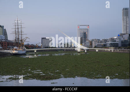 Buenos Aires, Buenos Aires, Argentinien. 21. Januar 2016. Puerto Madero Nachbarschaft, fallenden Wasserhyazinthen (Eichhornia Crassipes), zeigt ein ganz anderes Aussehen. Die Invasion dieser Wasser-Pflanzen ist Folge der schweren Überschwemmungen in den nördlichen Provinzen und hat auch einen Alarm erhöht, da die Flut Tiere und Insekten, unter ihnen giftige Schlangen, Spinnen und Skorpione gebracht hat. Bildnachweis: Patricio Murphy/ZUMA Draht/Alamy Live-Nachrichten Stockfoto